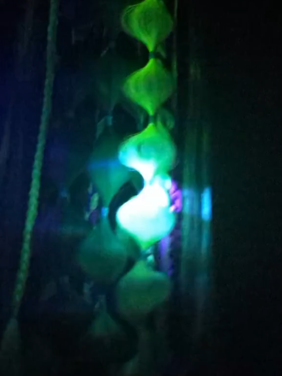 Witchcraft (GLOW) - Ponytail Festival Rave Braids
