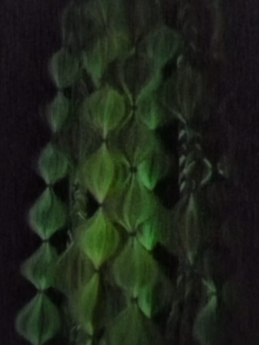 Monarch Butterfly (GLOW) - Ponytail Festival Rave Braids