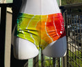Rainbow Boy shorts (ᴍᴀᴅᴇ ᴛᴏ ᴏʀᴅᴇʀ)