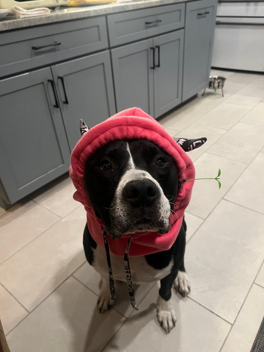 monster hood