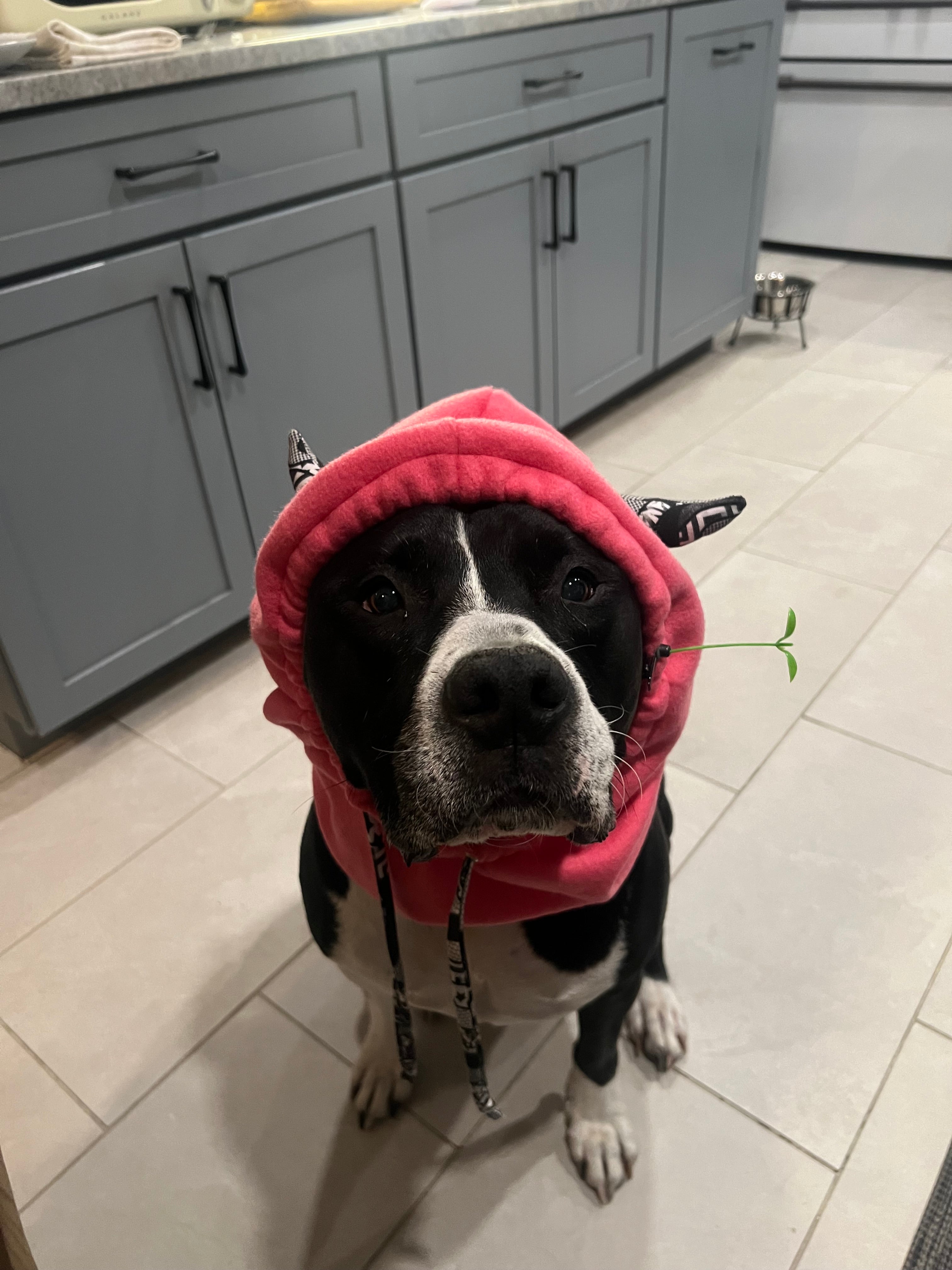 monster hood