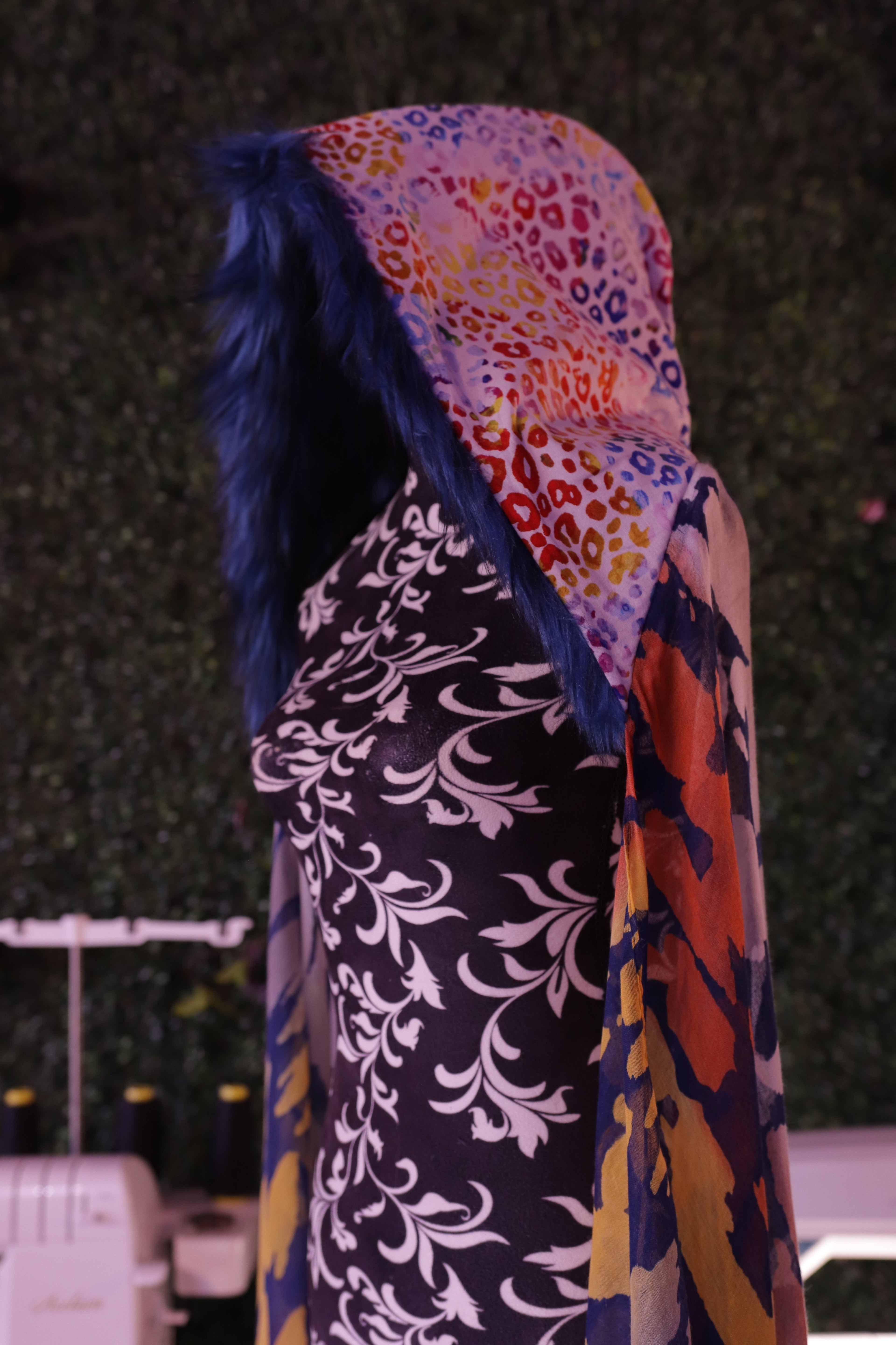Rainbow Leopard