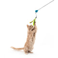 Cat Teaser